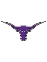 Longhorn logo